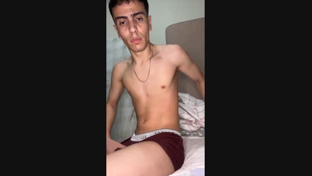guilherme_arau4 31-10-2024 Recorded Video analtoy