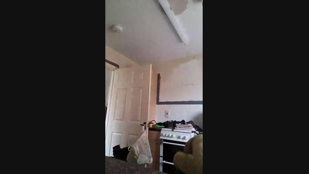 hunghairy_xxx 31-10-2024 Recorded Video squirt
