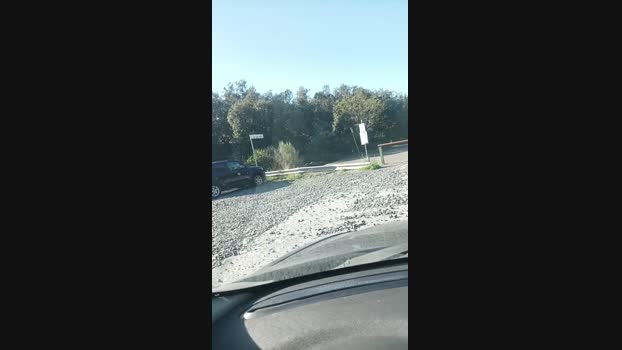 minuzzo61 01-11-2024 Recorded Video suckcock