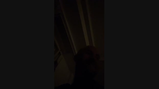 thedick_22 01-11-2024 Recorded Video bigballs
