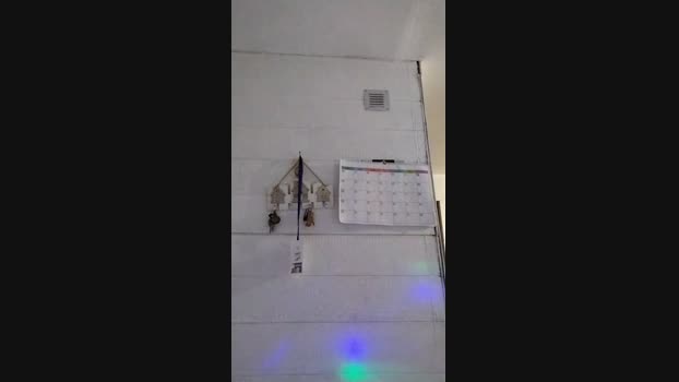 D0N_MIRON 02-11-2024 Recorded Video jackoff