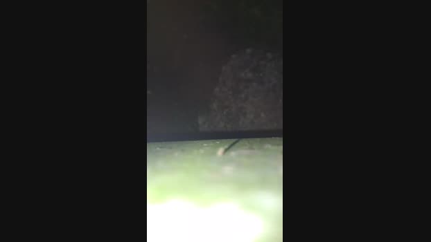 DamianPollonxD 02-11-2024 Recorded Video deep