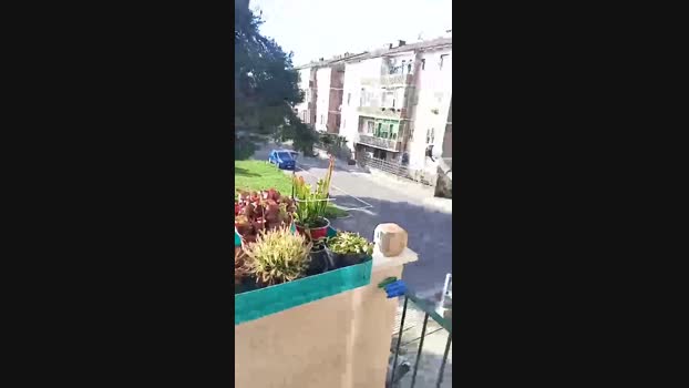 Elettricistaa 02-11-2024 Recorded Video suck