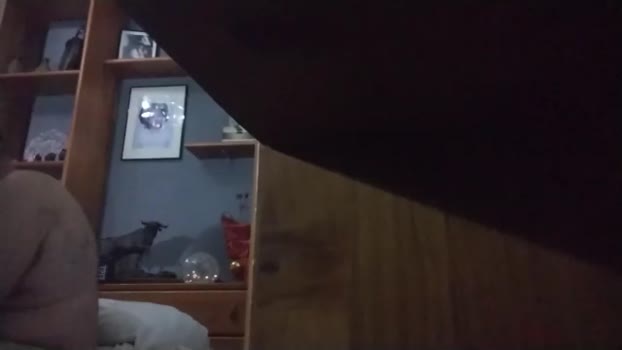 PiggyBoy_ 02-11-2024 Recorded Video lush