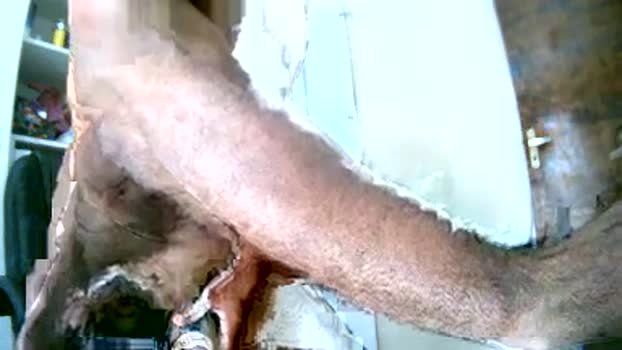 Ton_da_Ka 02-11-2024 Recorded Video prettyface