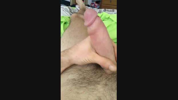 micio9221cm1 02-11-2024 Recorded Video cute