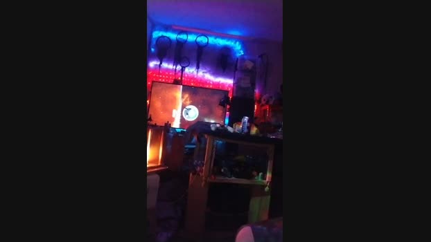 physicssexpert 01-11-2024 Recorded Video amateur