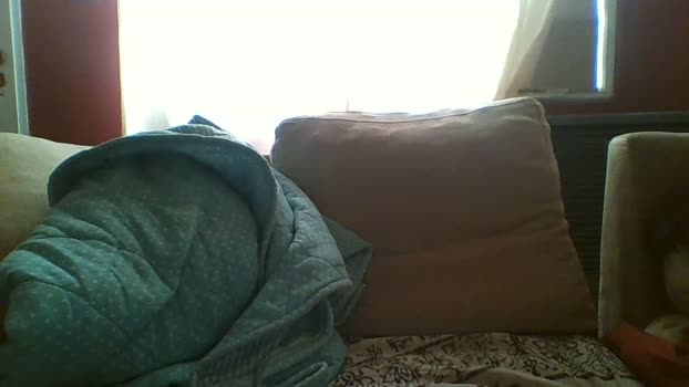soynicolas4 01-11-2024 Recorded Video kiss