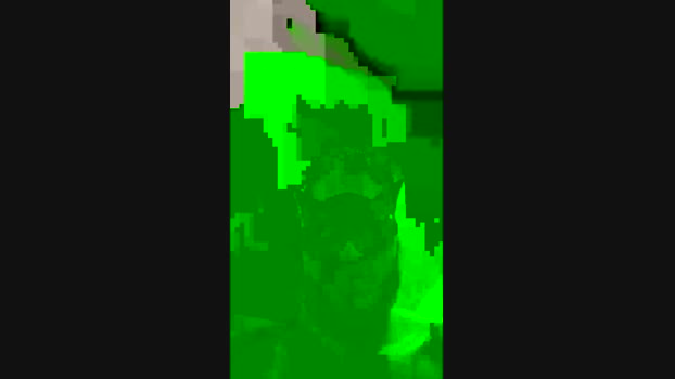 Dasul_01 02-11-2024 Recorded Video jerkoff