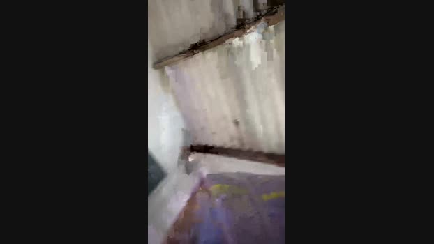 Gustavoms2446 03-11-2024 Recorded Video lush