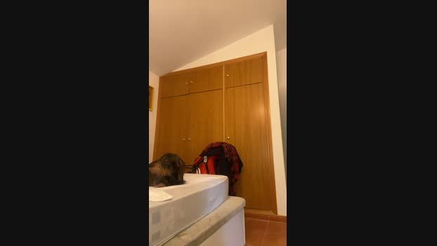 bmr789 02-11-2024 Recorded Video love