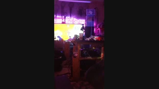 physicssexpert 02-11-2024 Recorded Video fuckass