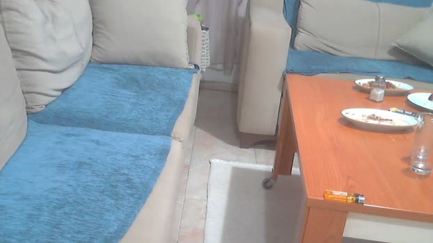 pollen_07 02-11-2024 Recorded Video horny