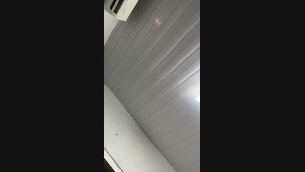 Joedot24 03-11-2024 Recorded Video fingers