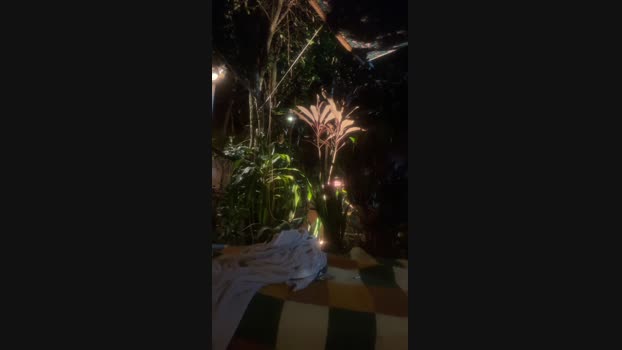 Ledsz1 04-11-2024 Recorded Video natural