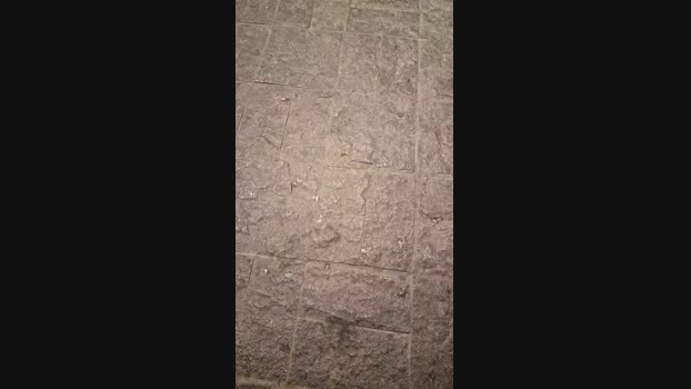 Vanluiz28 04-11-2024 Recorded Video Download
