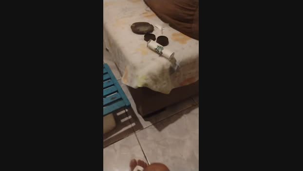 ivan1849 04-11-2024 Recorded Video sexykitty