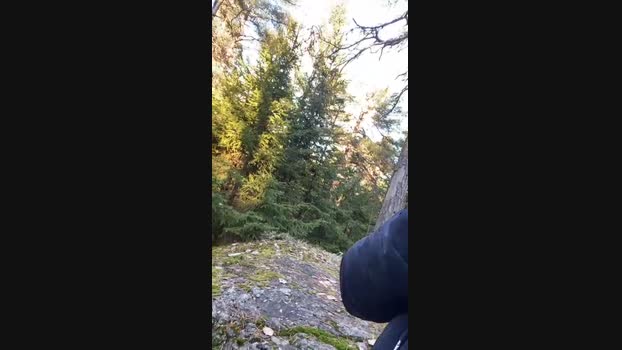 likescock5 04-11-2024 Recorded Video cute