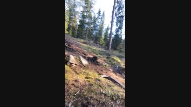 likescock5 04-11-2024 Recorded Video amateur