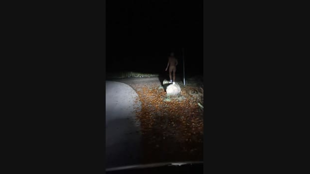 publicpppig1 03-11-2024 Recorded Video analsex