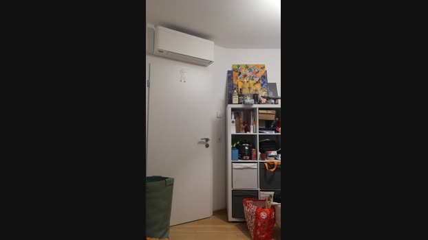 CDLukeLucy 04-11-2024 Recorded Video legs