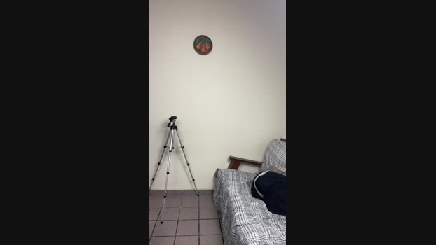 Dasul_01 06-11-2024 Recorded Video hard