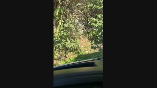Edward_venezia 06-11-2024 Recorded Video lovense