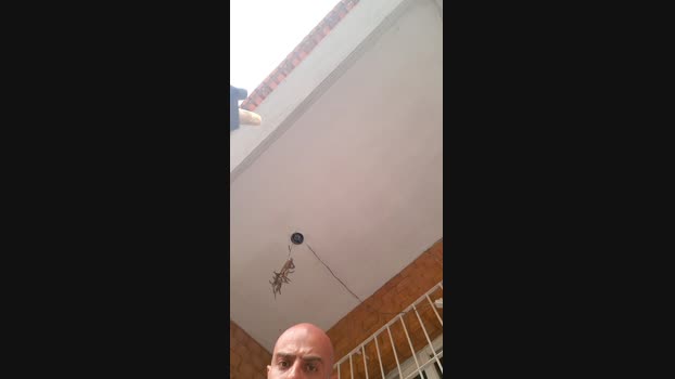 recoblue22cm 05-11-2024 Recorded Video XXX