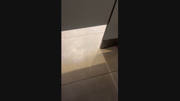 ver20cm2 05-11-2024 Recorded Video hardcock