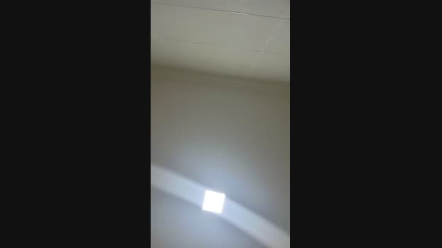 Machaosarado 07-11-2024 Recorded Video suckcock