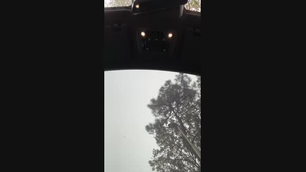 piemel19x6 07-11-2024 Recorded Video bigass