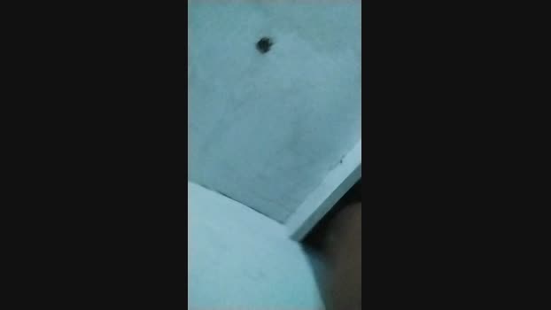 wilkerramatis 07-11-2024 Recorded Video kink