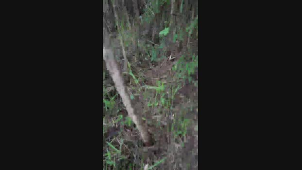 _ALLADYN_ 07-11-2024 Recorded Video twink