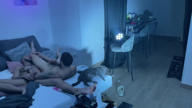 Malvinoamaya 08-11-2024 Recorded Video legs