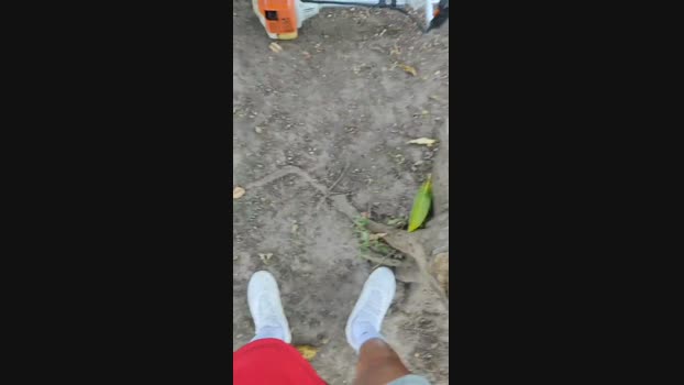 XoXocum4 08-11-2024 Recorded Video jerkoff