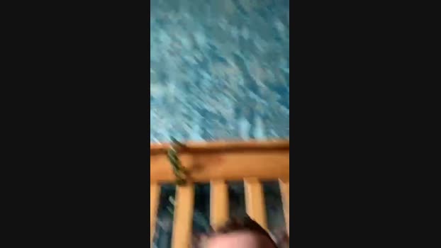 britishgay_chav 08-11-2024 Recorded Video sweet