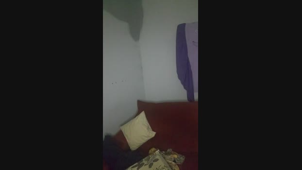 Leo_dot25 09-11-2024 Recorded Video toys