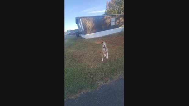 Skizzy31 08-11-2024 Recorded Video bigload