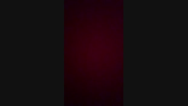 brunoss7 09-11-2024 Recorded Video gag