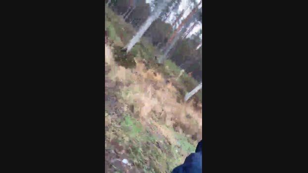 likescock5 09-11-2024 Recorded Video naked