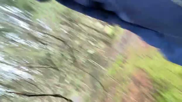 likescock5 09-11-2024 Recorded Video ass