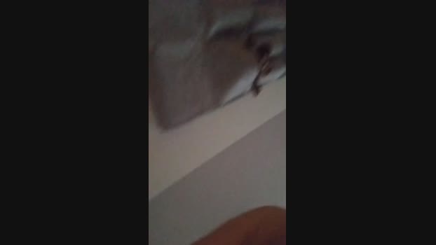 sexgreekfree 10-11-2024 Recorded Video natural