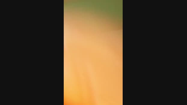 suckerbln1 10-11-2024 Recorded Video beauty