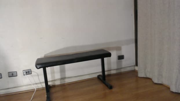 25x6cms 11-11-2024 Recorded Video big
