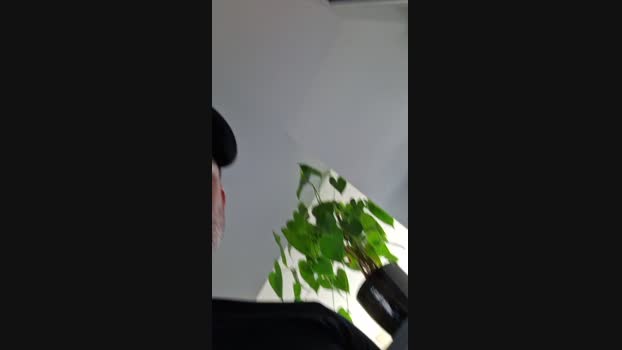 DILFJEXXL 11-11-2024 Recorded Video gag
