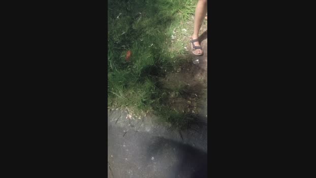 Fetichistahard 11-11-2024 Recorded Video fuck