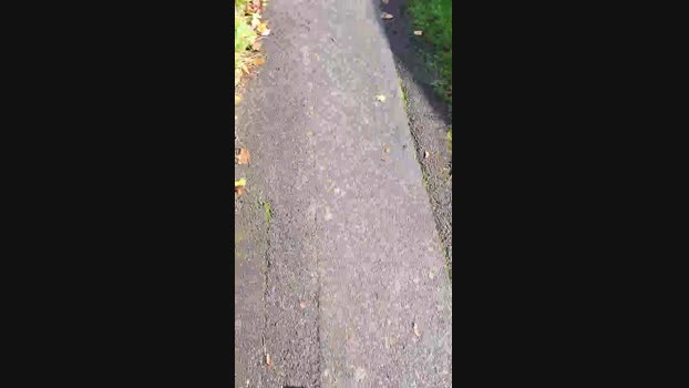 Hairlessoldman 11-11-2024 Recorded Video prettyface