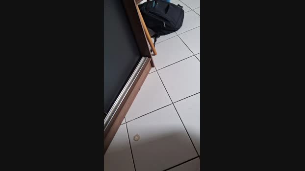 PFdrg 11-11-2024 Recorded Video jerkoff