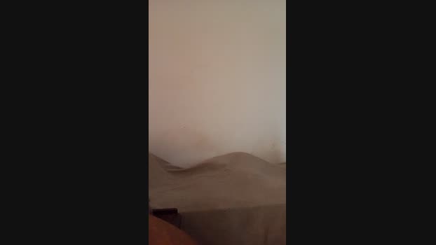 olivos123 10-11-2024 Recorded Video bicurious