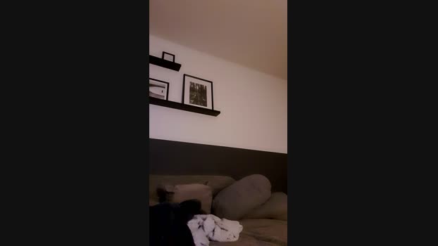 suckerbln1 10-11-2024 Recorded Video love